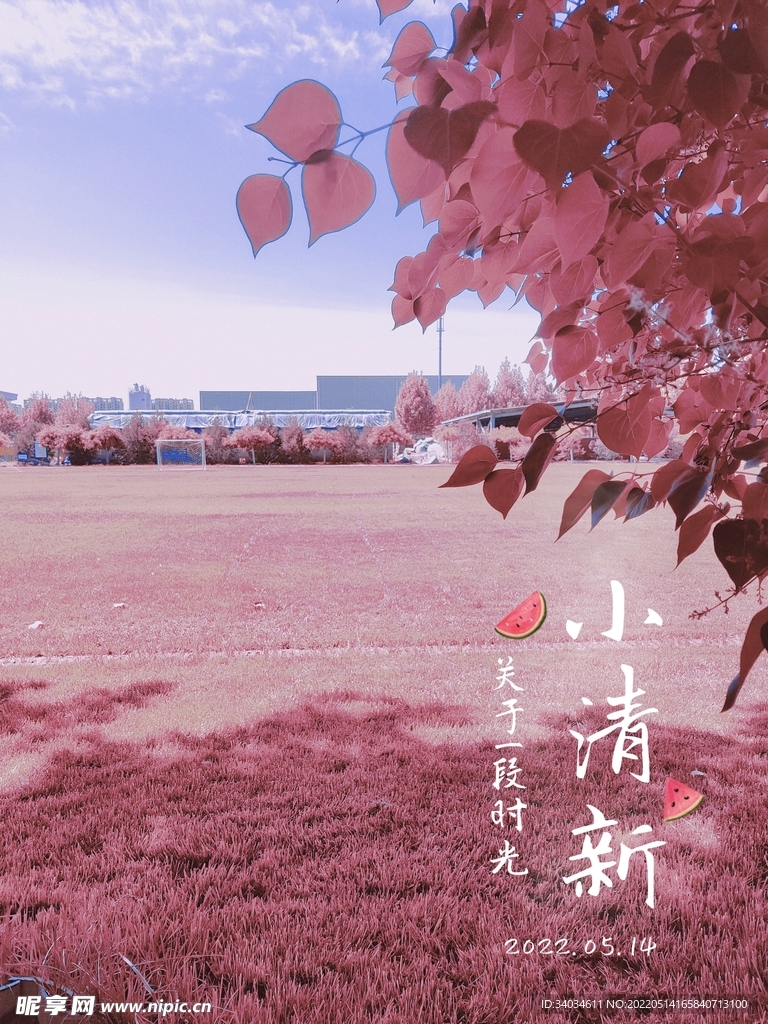 粉紅風(fēng)景