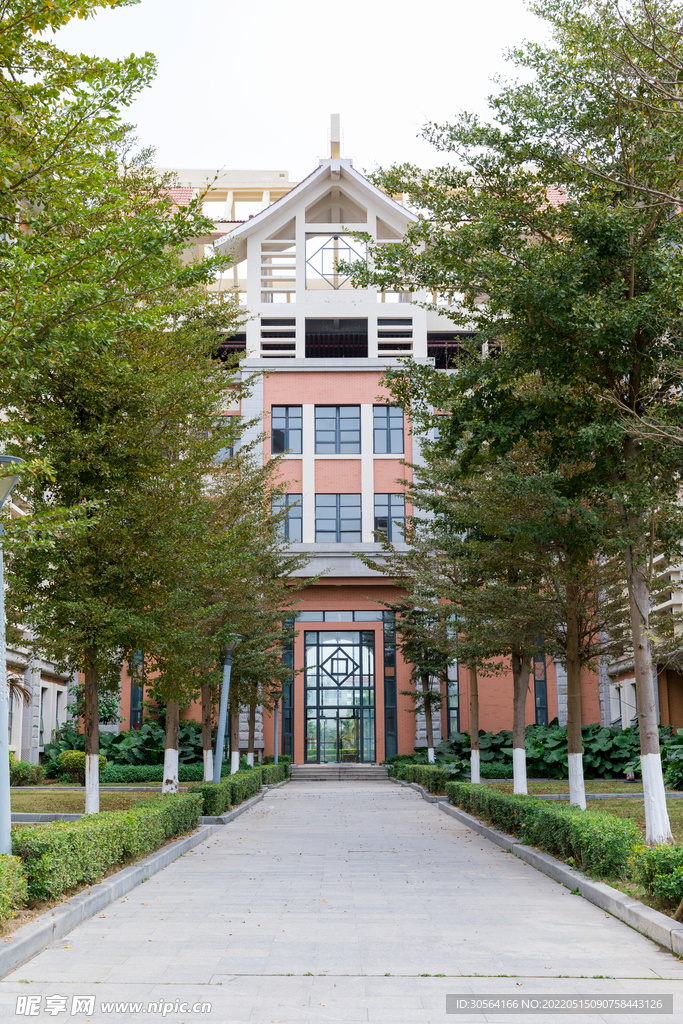 戶外校園圖書館建筑