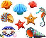 贝壳海螺珍珠矢量素材