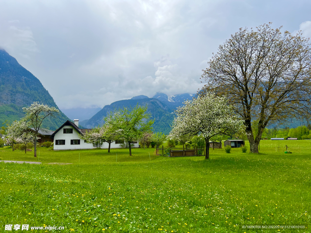 草坪草地山川小屋樹木外國小鎮