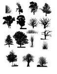 不同树的黑白剪影矢量图