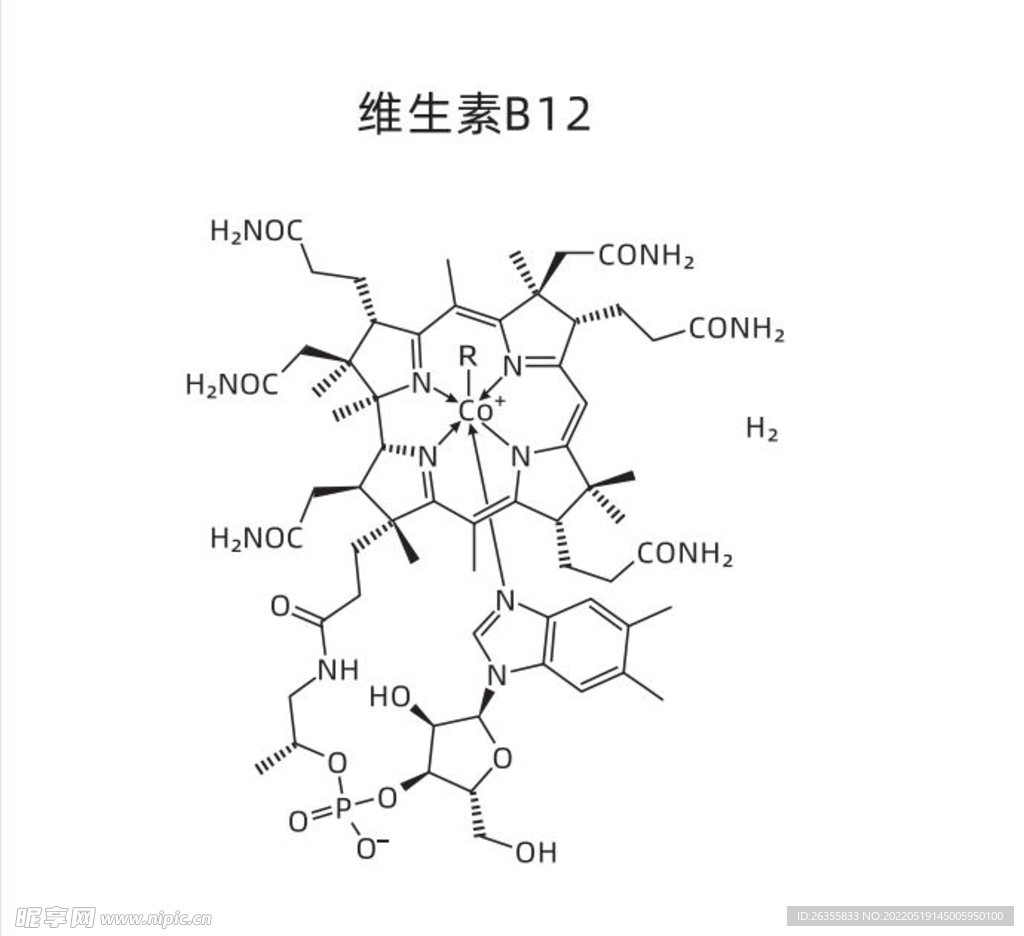 维生素B12 化学方程式 矢量