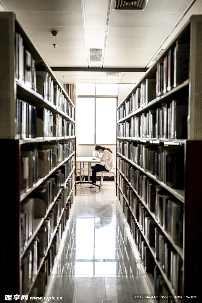校園圖書館