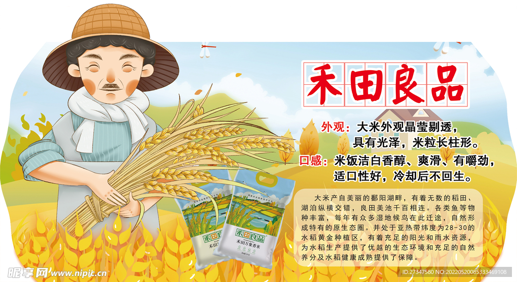 大米介紹