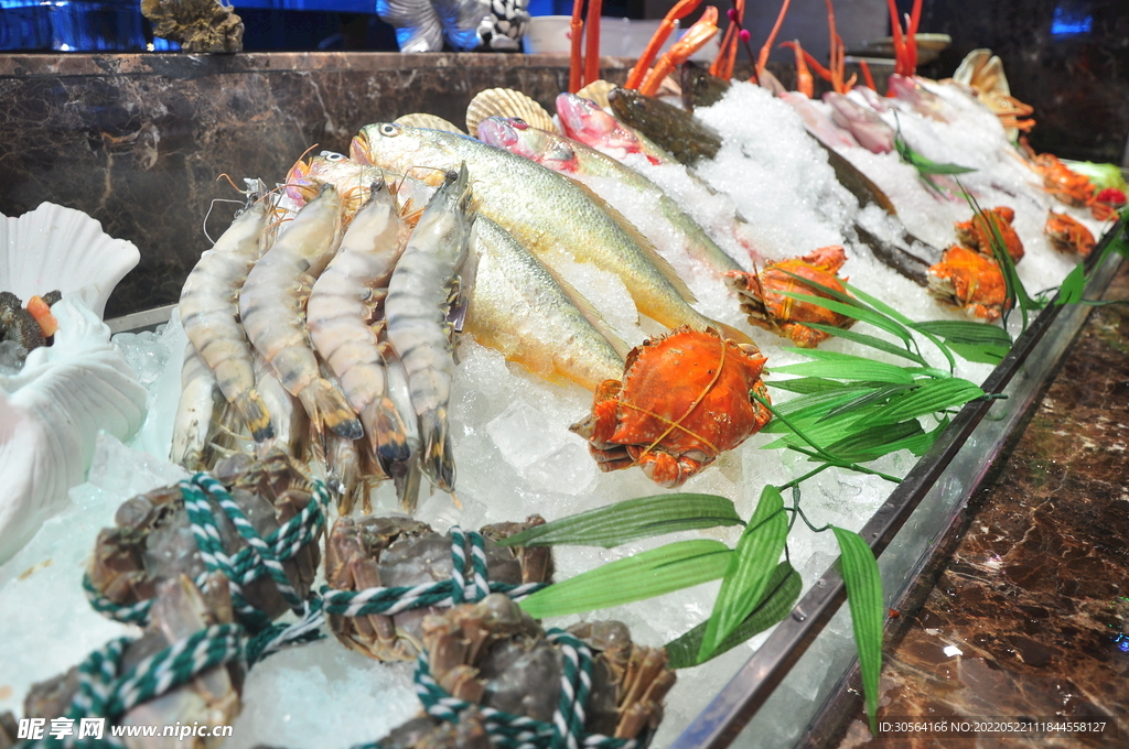 冰凍海鮮市場食材