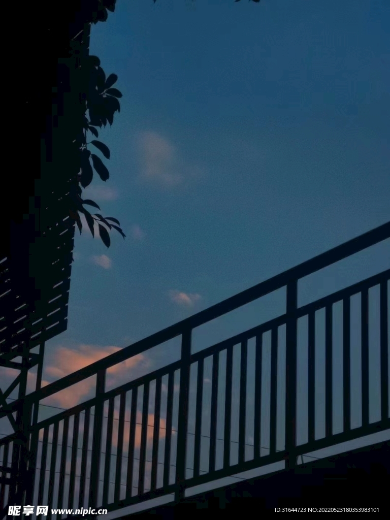 天橋剪影