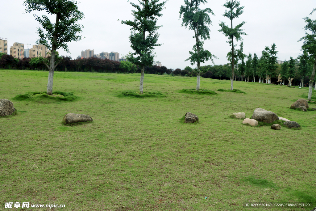 公園草地
