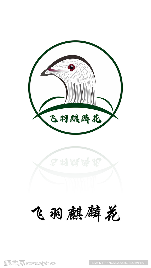 信鸽logo