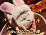 今天也有保持可愛噢