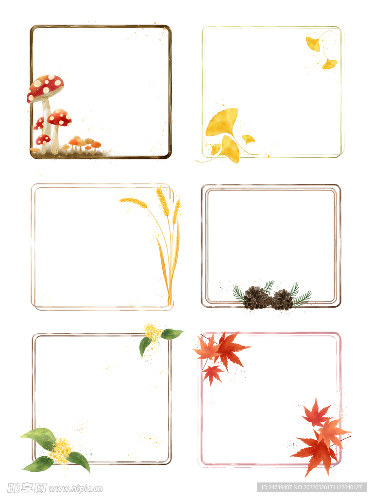 秋季植物系装饰框