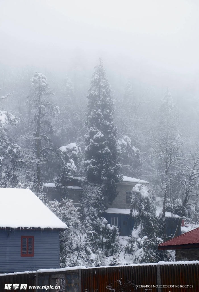 雪中景