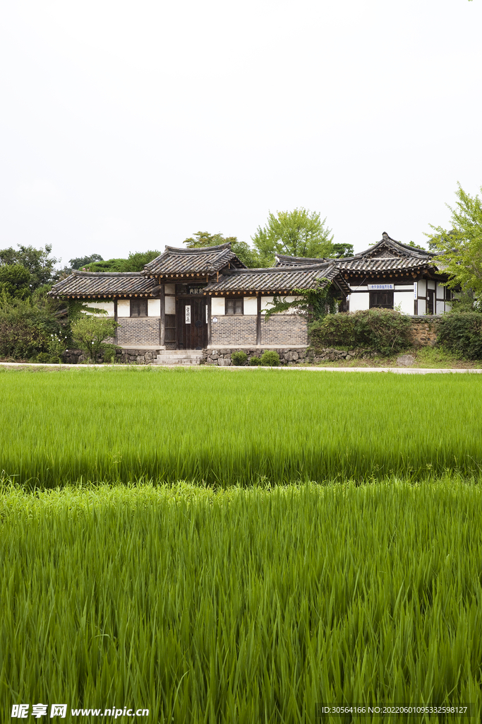 戶外青草復(fù)古建筑