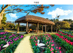济州岛自然风景图片