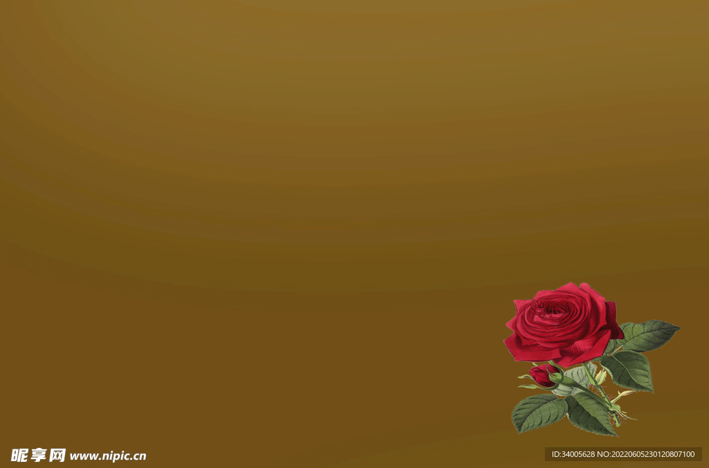 棕色玫瑰花