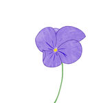 紫色手绘鸢尾花