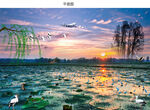 荷塘日色风景图片
