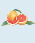 水果  柚子