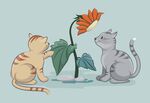 猫和向日葵花矢量图