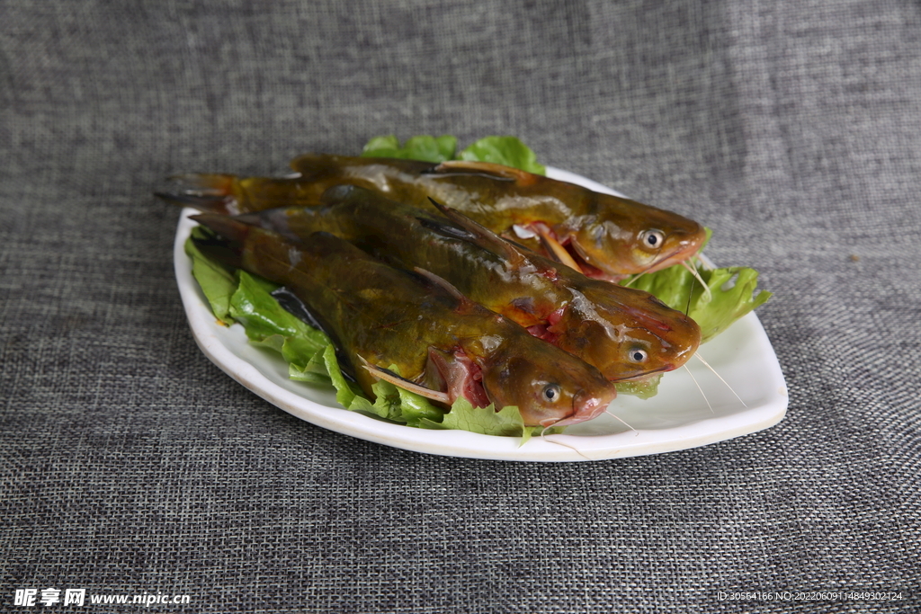 新鮮小魚食材