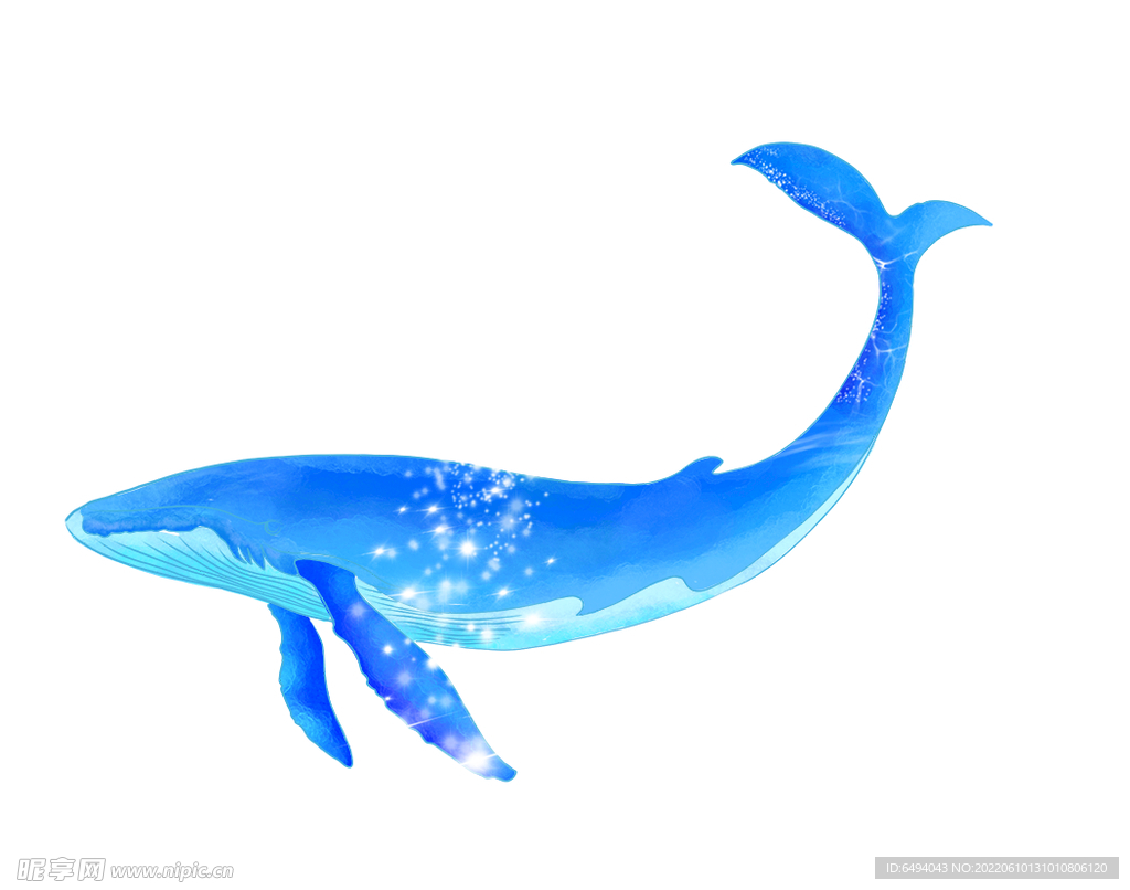 大魚海棠鯨魚