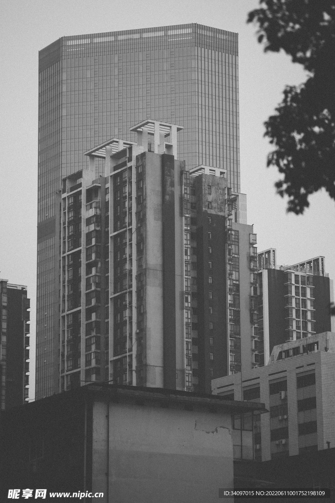 黑白