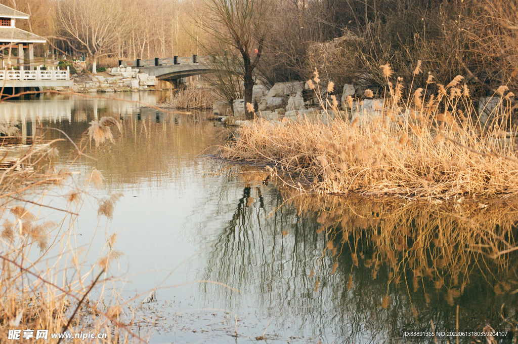 公園風(fēng)景