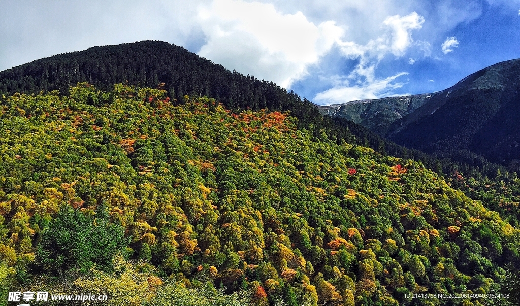 名山大山山脈