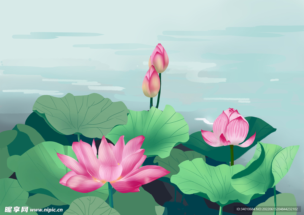 荷花