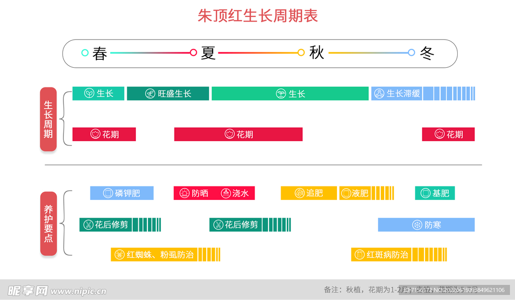 生長周期表