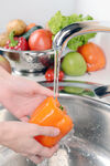 水槽 洗蔬菜