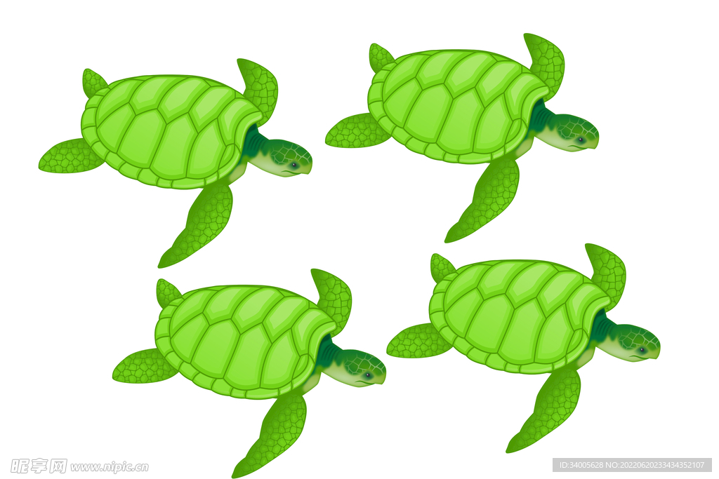 四只乌龟