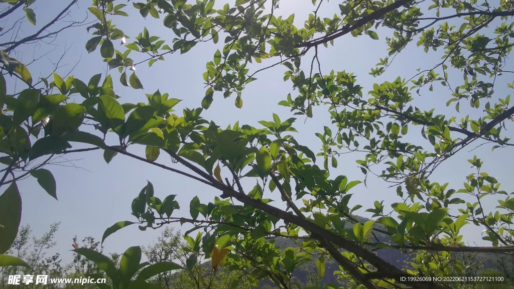 陽光下的呼吸