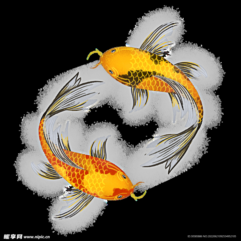 太極魚(yú)