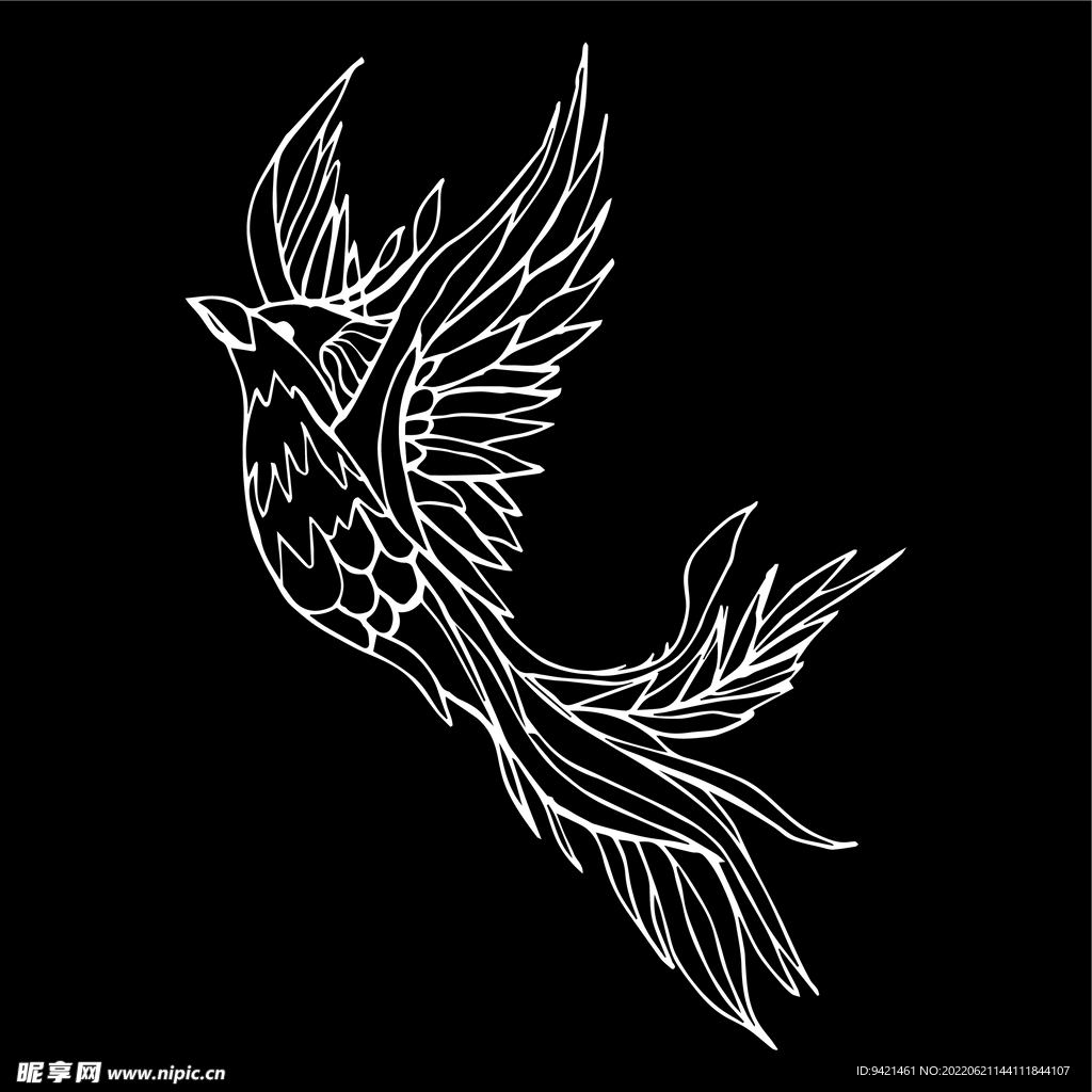 飛鳥插畫