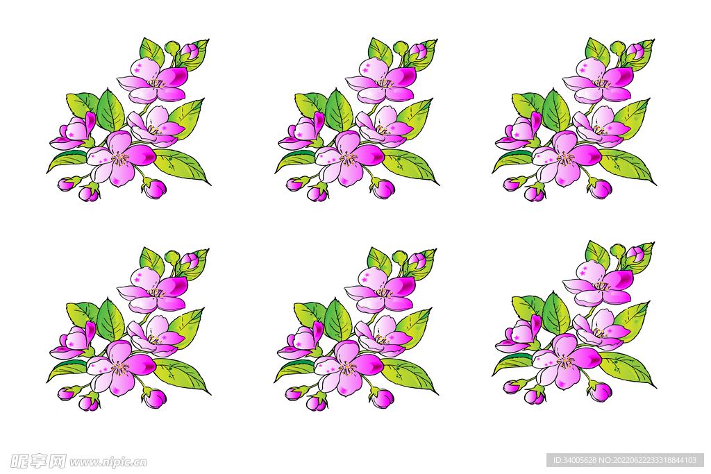六片紫花