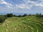 草原 白云 湖泊 风景 摄影 