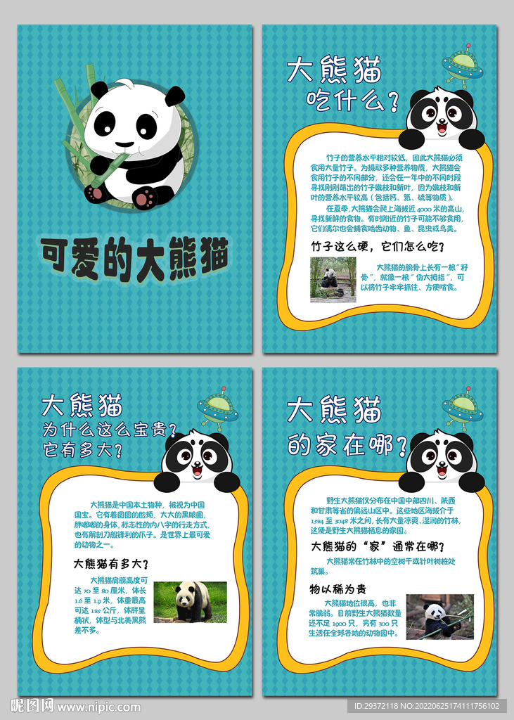 可爱的大熊猫动物科普知识海报