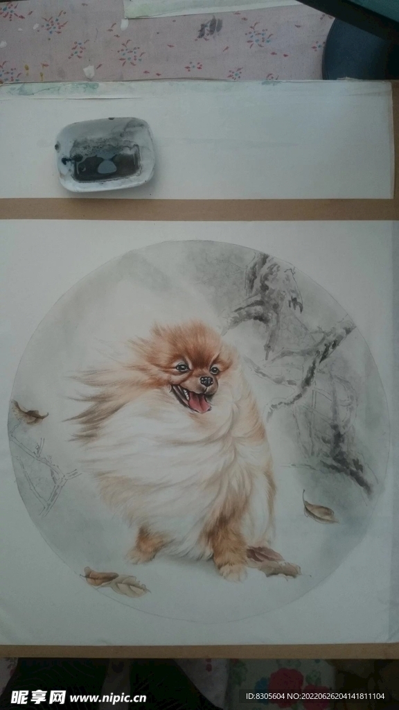 狗