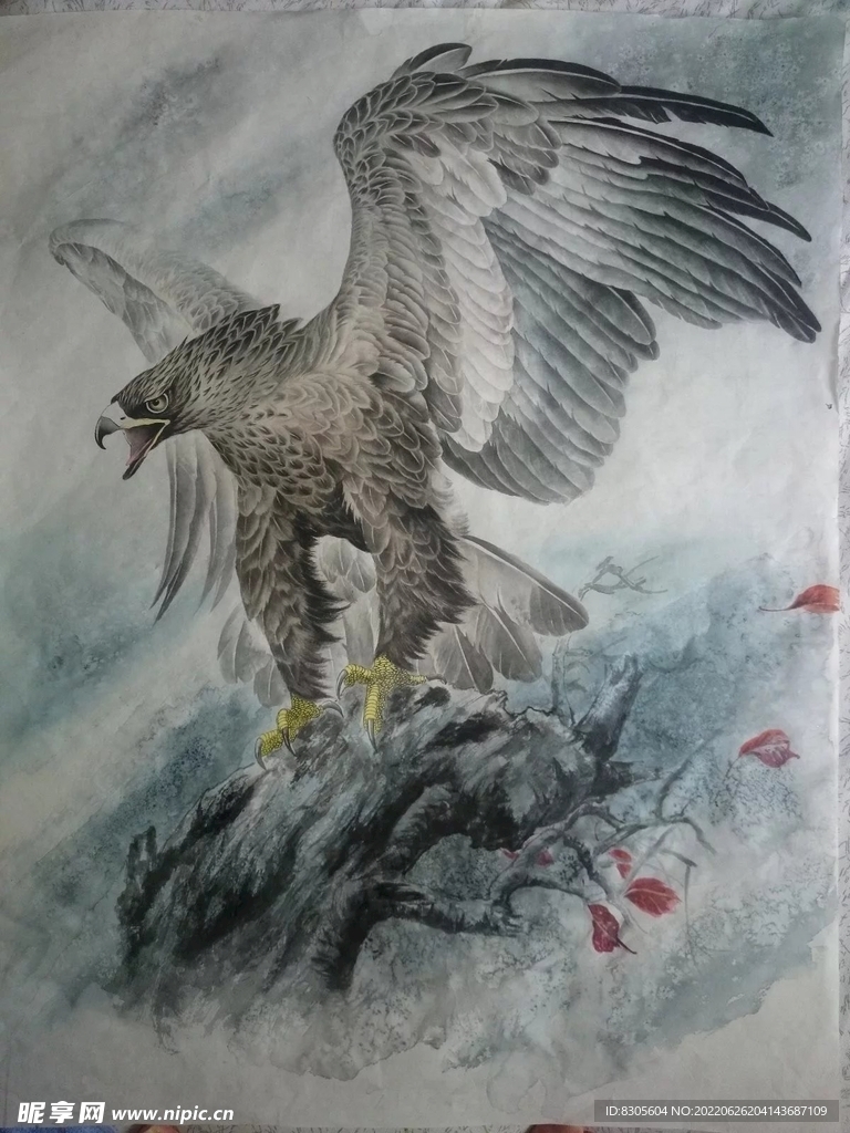 鷹
