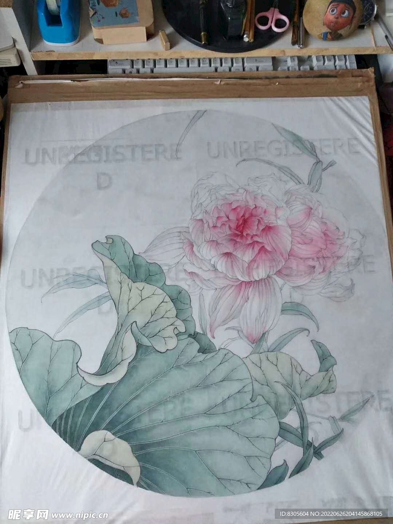 荷花