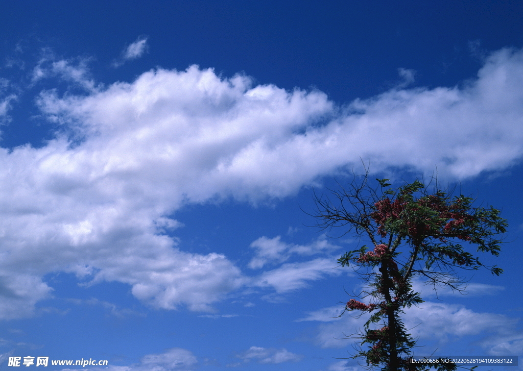 湛藍(lán)的天空    