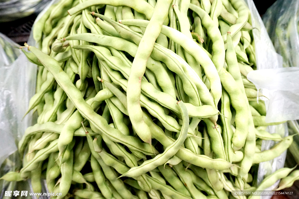 無筋豆