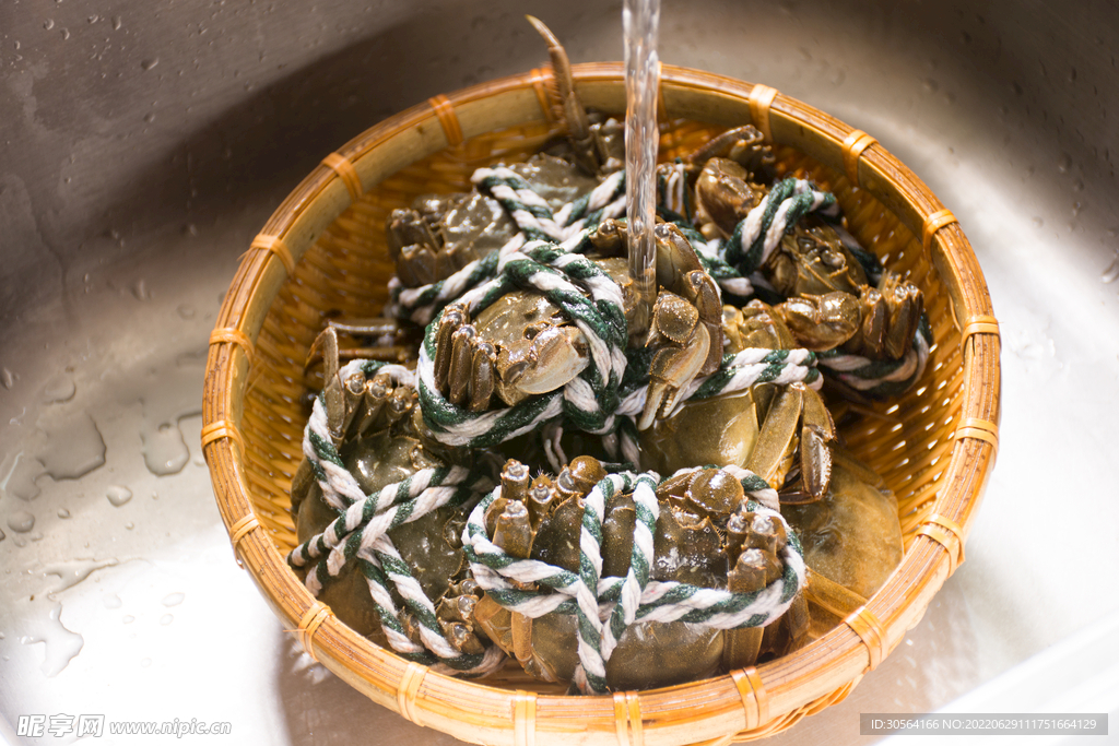 大閘蟹美食