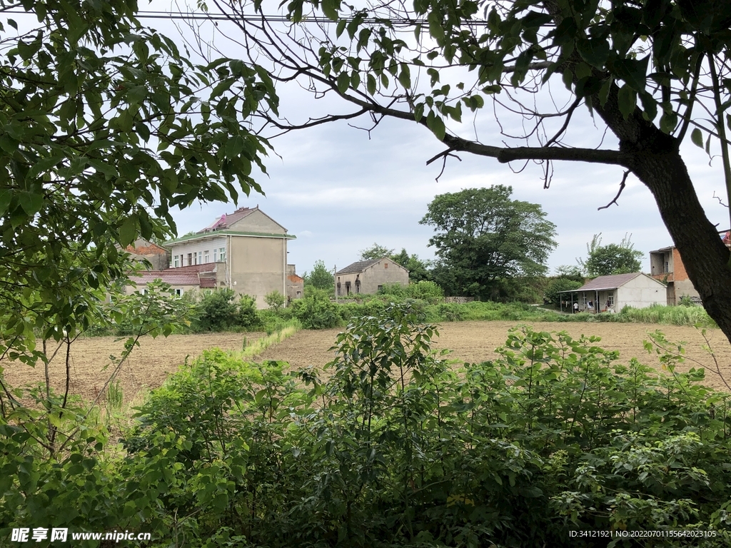 乡村振兴下的田野