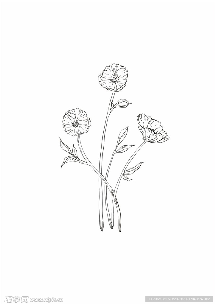 森系 花朵  景觀