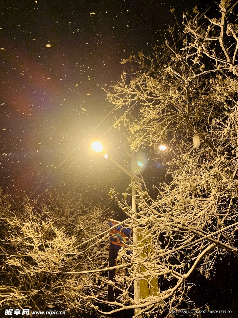 路灯下的雪夜