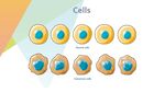 细胞生物学和组织学