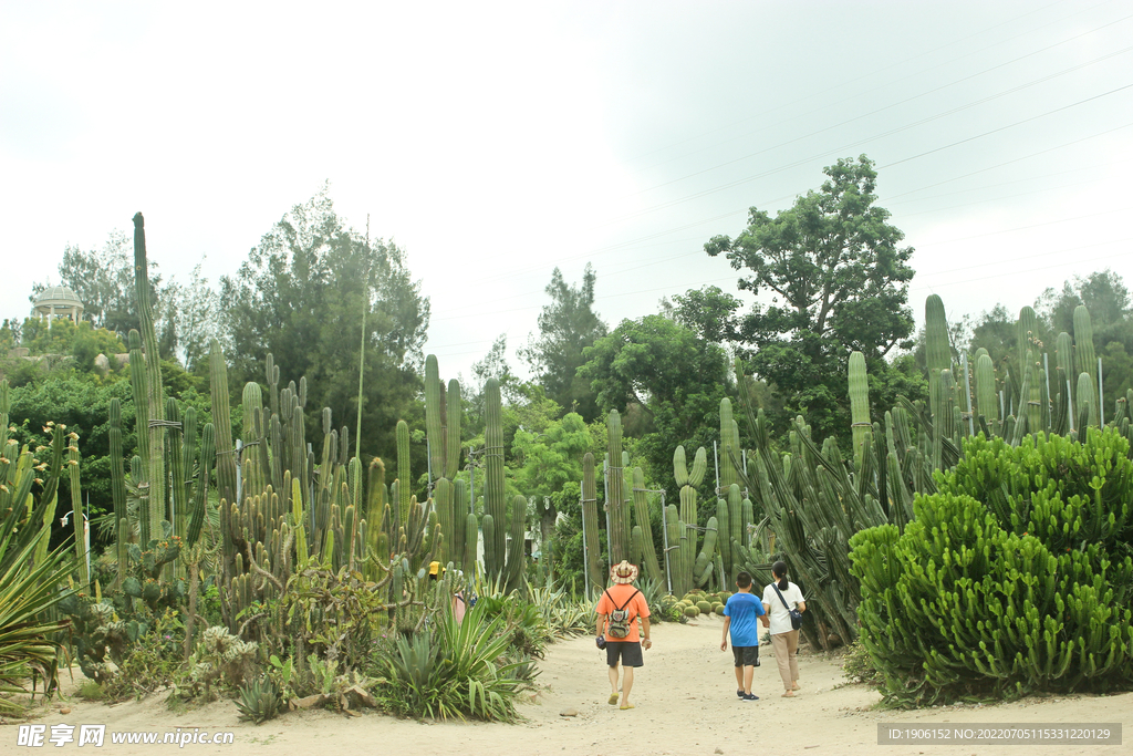 植物園