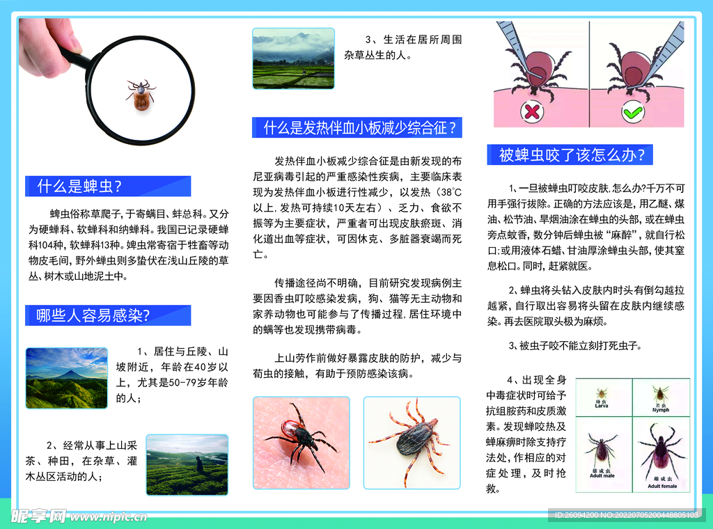 夏季预防蜱虫防虫知识点