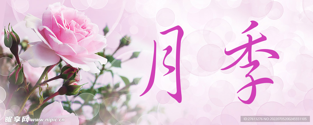 月季花門牌